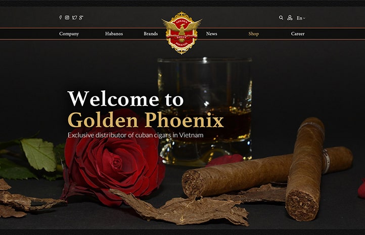 Portfolio Image